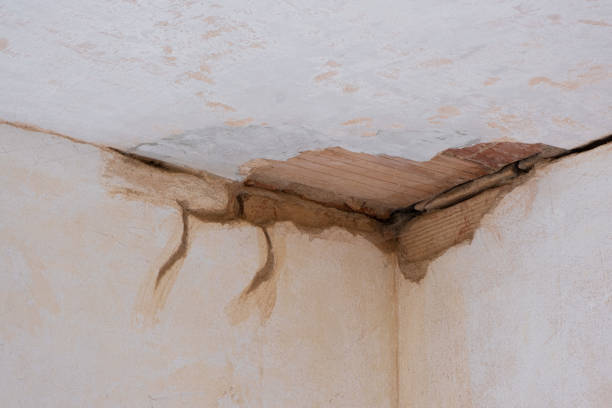 Best Water damage contractors near me  in Cuba, MO