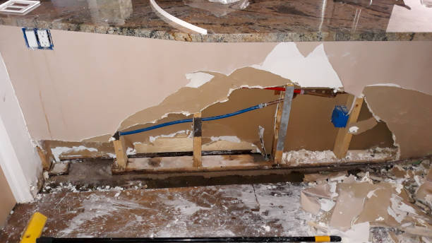 Best Water damage restoration specialists  in Cuba, MO