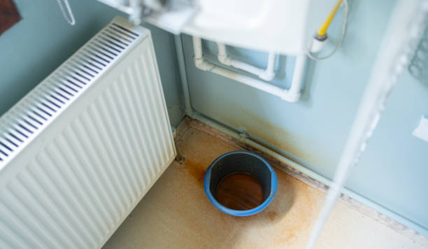Best Flood restoration services  in Cuba, MO