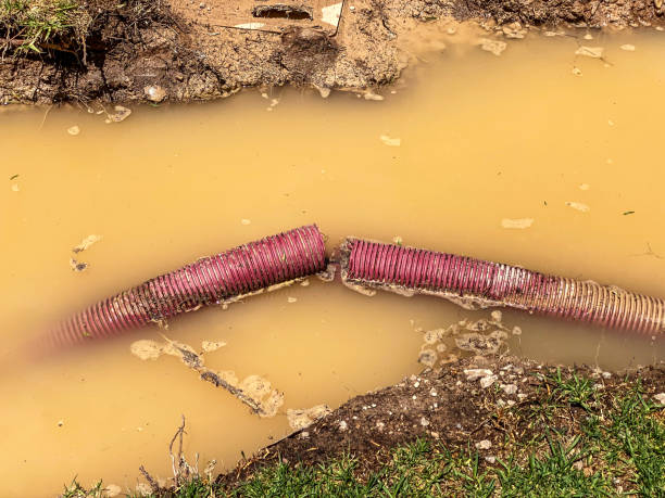 Best Emergency water damage restoration  in Cuba, MO